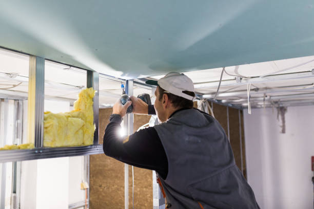 Best Energy Efficiency Insulation in San Antonio, FL