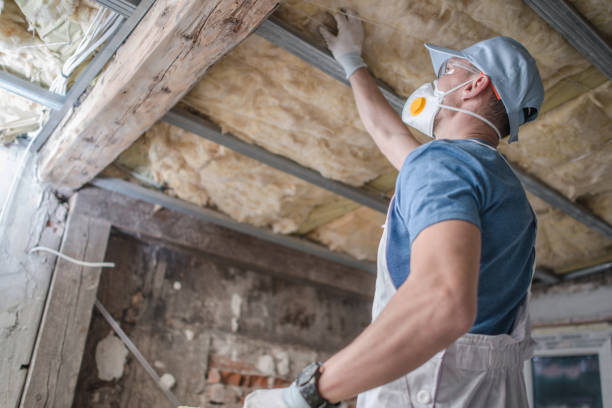 Best Spray Foam Insulation in San Antonio, FL