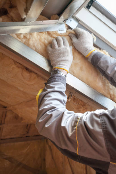Best Commercial Insulation in San Antonio, FL
