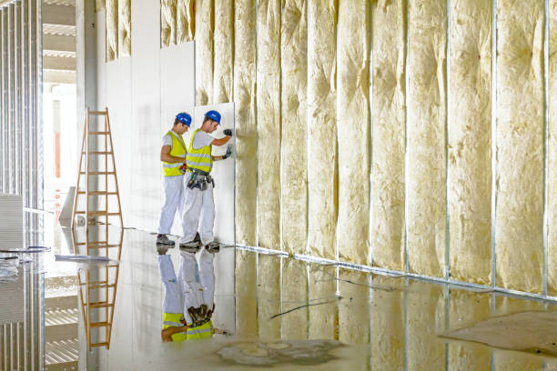 Best DIY Insulation Kits and Guidance in San Antonio, FL